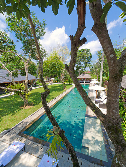 Escape to Bali Villa – Ubud’s Premier Sanctuary 1000