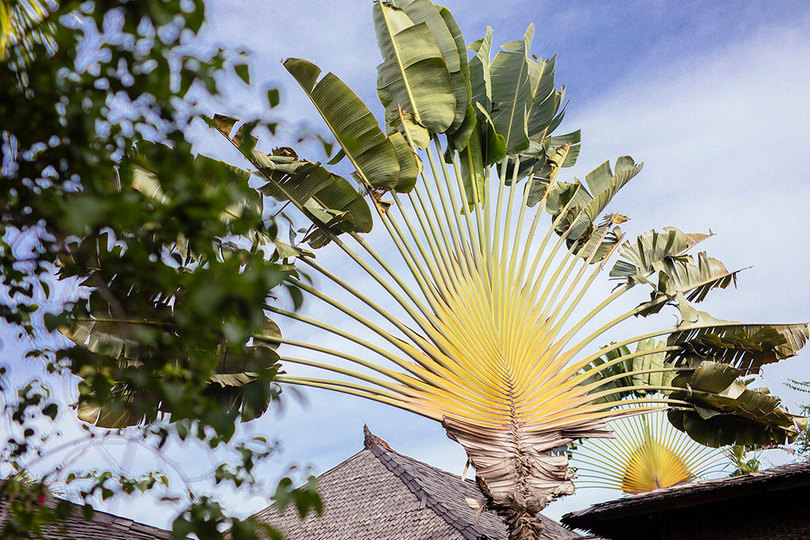 Seaside Luxury with Cultural Charm – Bali Villa 1054