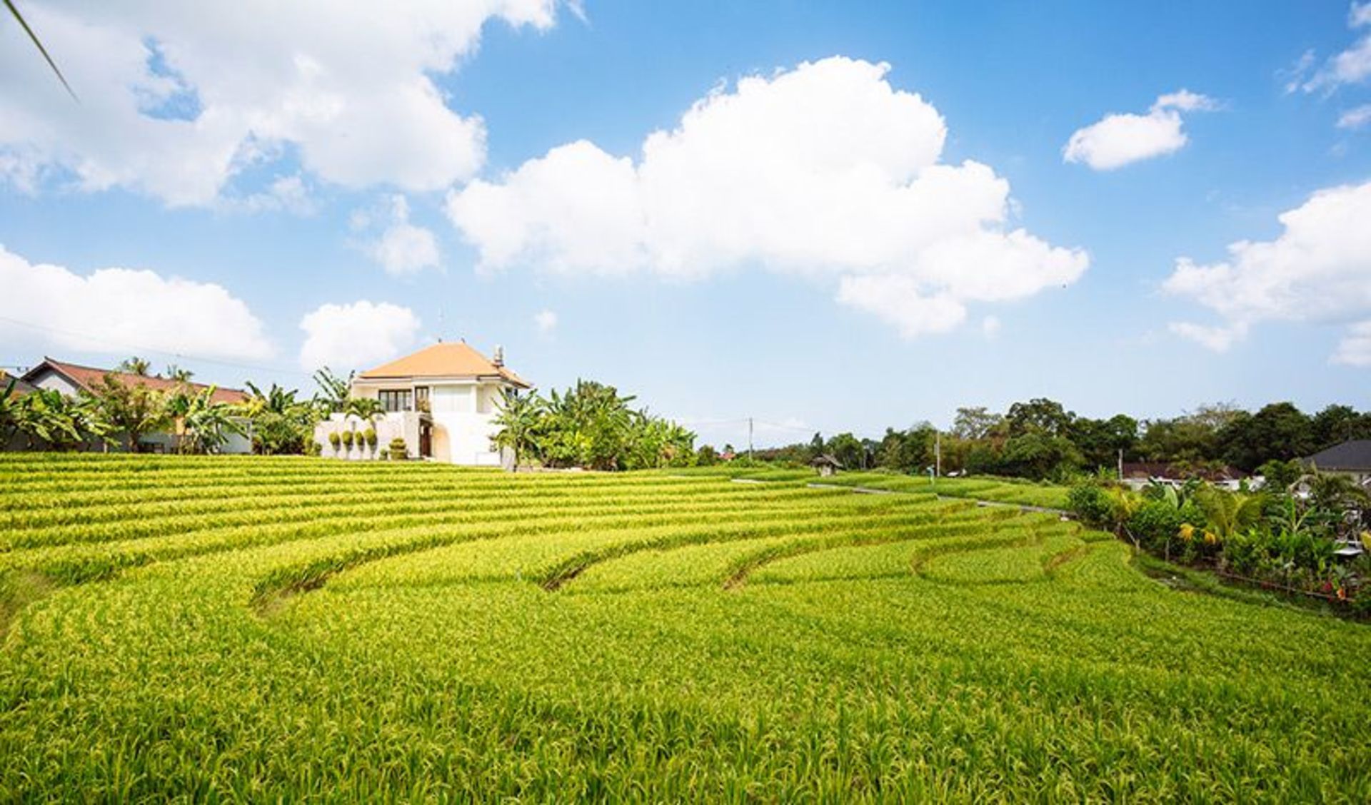 Elegant Tropical Escape –  Bali Villa 1063