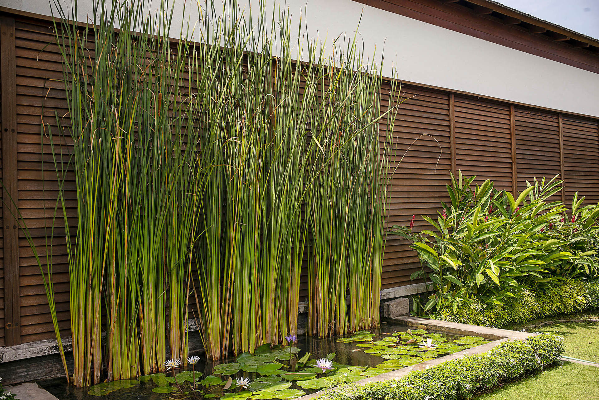 Stylish Beachside Villa with Pool & Stunning Views – Bali Villa 1068