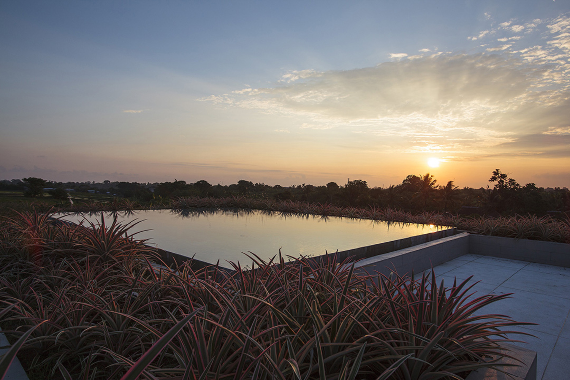 Where Tranquility Meets Luxury – Bali Villa 1071