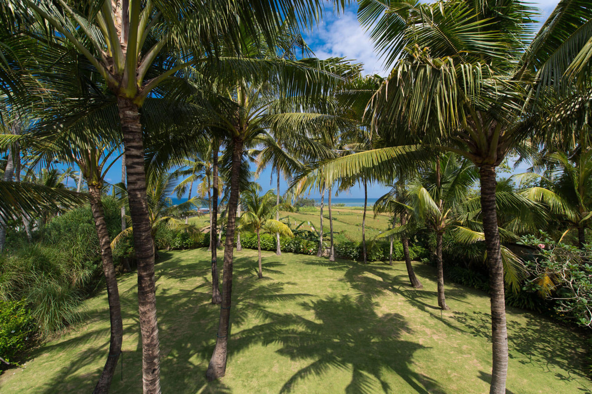 Luxury Rooted in Serenity – Bali Villa 1074