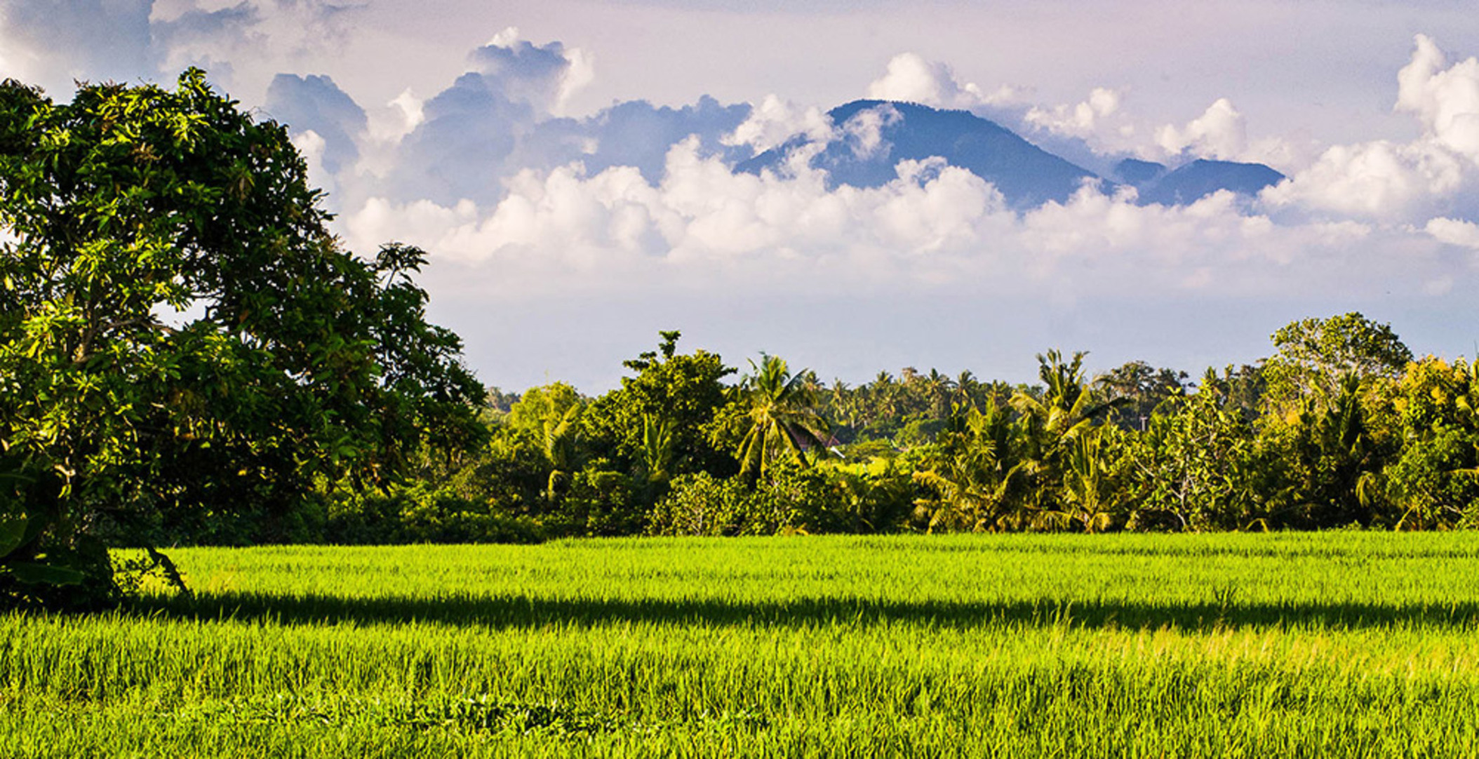 Lush Gardens Sea Views - Bali Villa 1116
