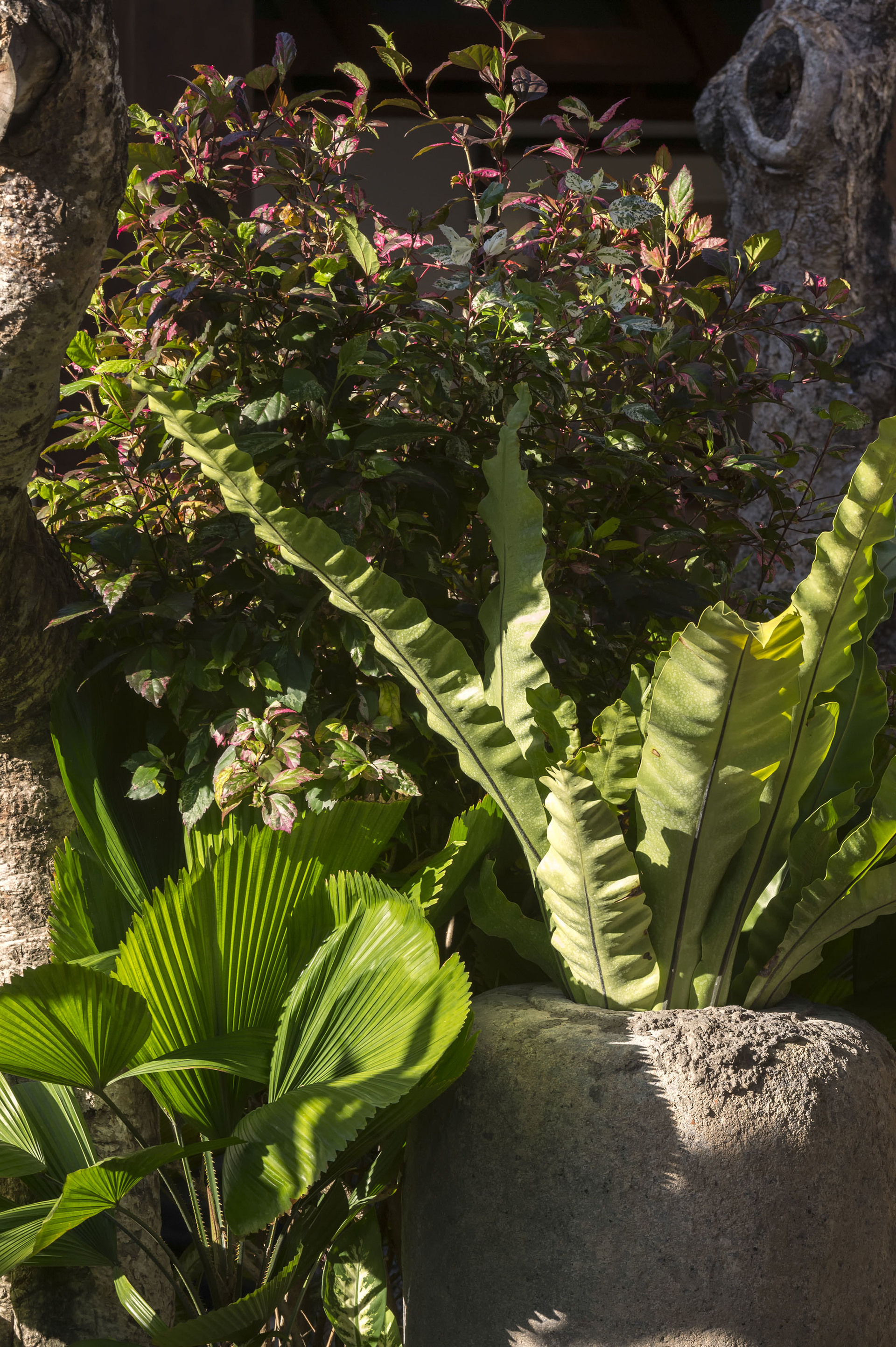 Serene luxury in lush gardens, Bali Villa 1124