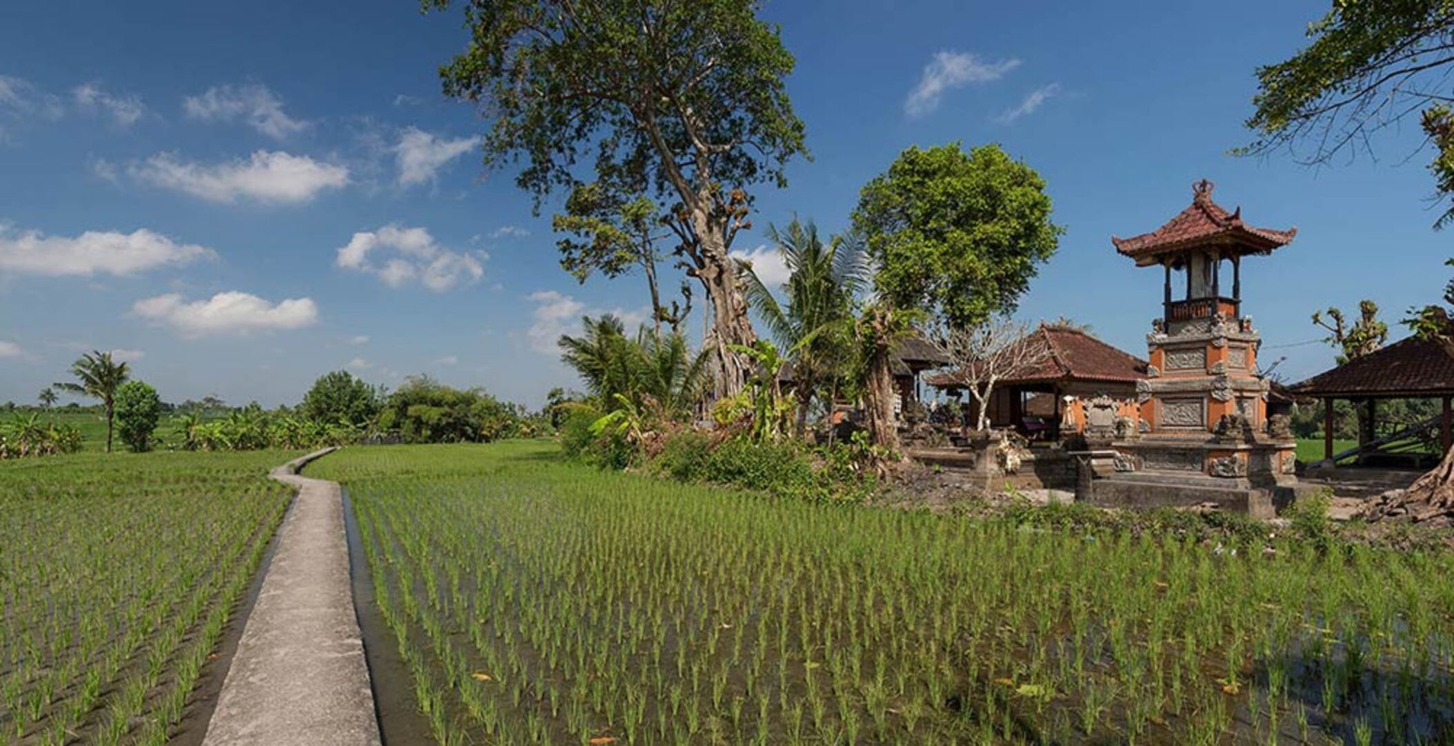 Rent a Luxury Villa in Bali Close to the Beach, Bali Villa 1130