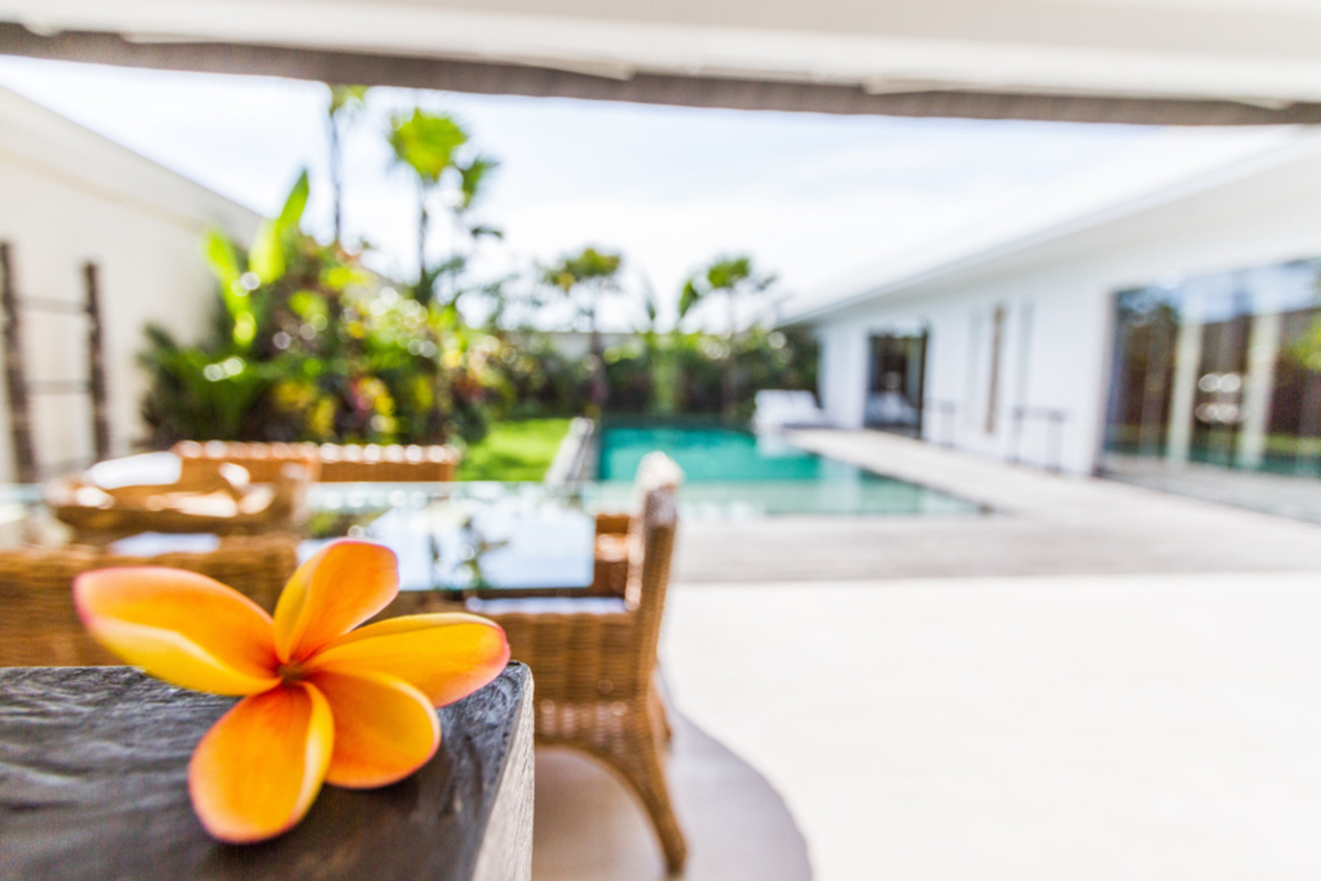 Exclusive Holiday Villa with Pool and Staff, Bali Villa 1156