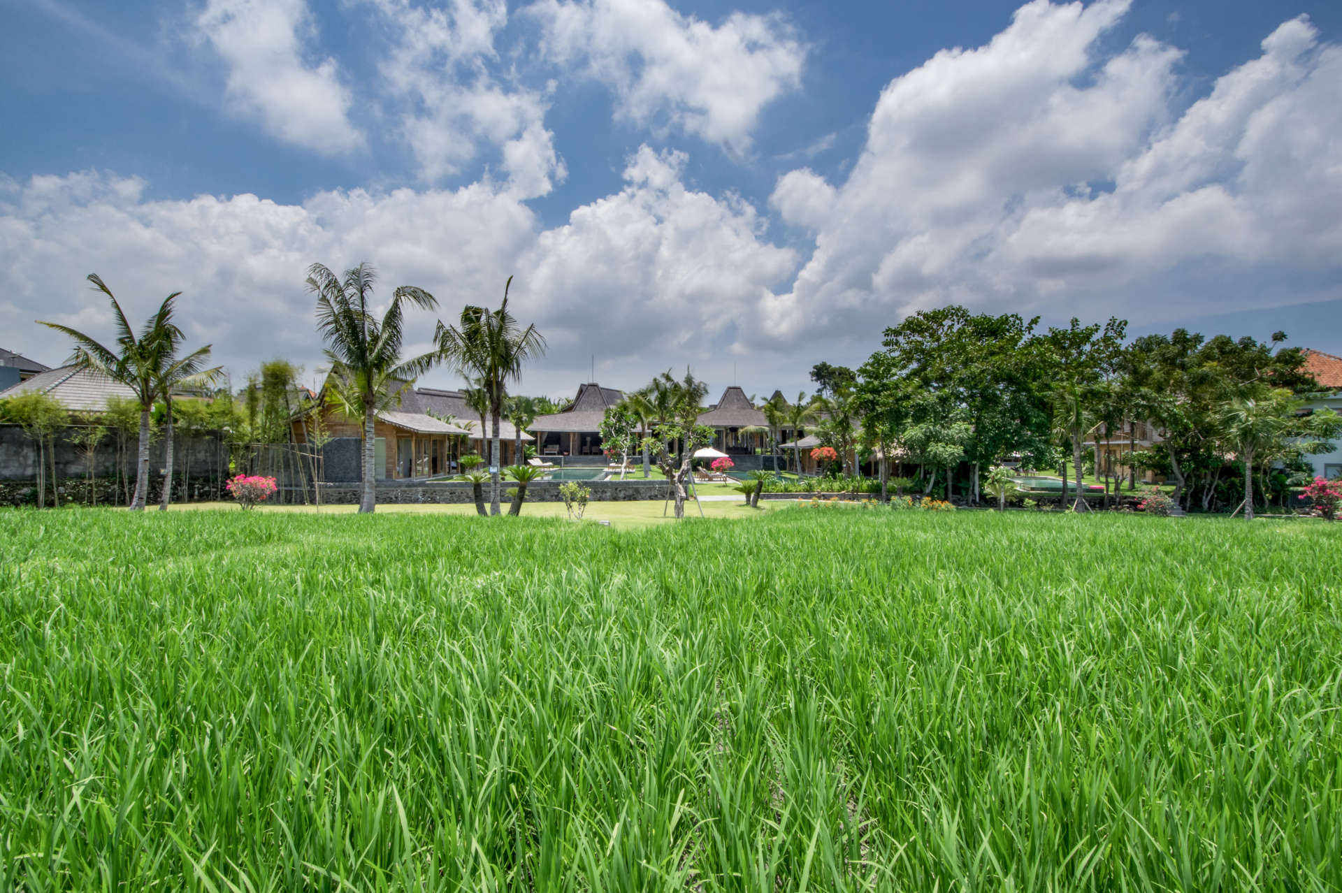 Enjoy a Holiday of a Lifetime Renting Your Own 5 Star Private Villa at the Best Rate in Kerobokan, Villa Bali 2008