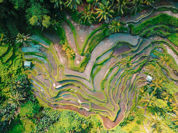 Your Holiday in a Luxury 5 Star Villa in Ubud, Bali Villa 2032