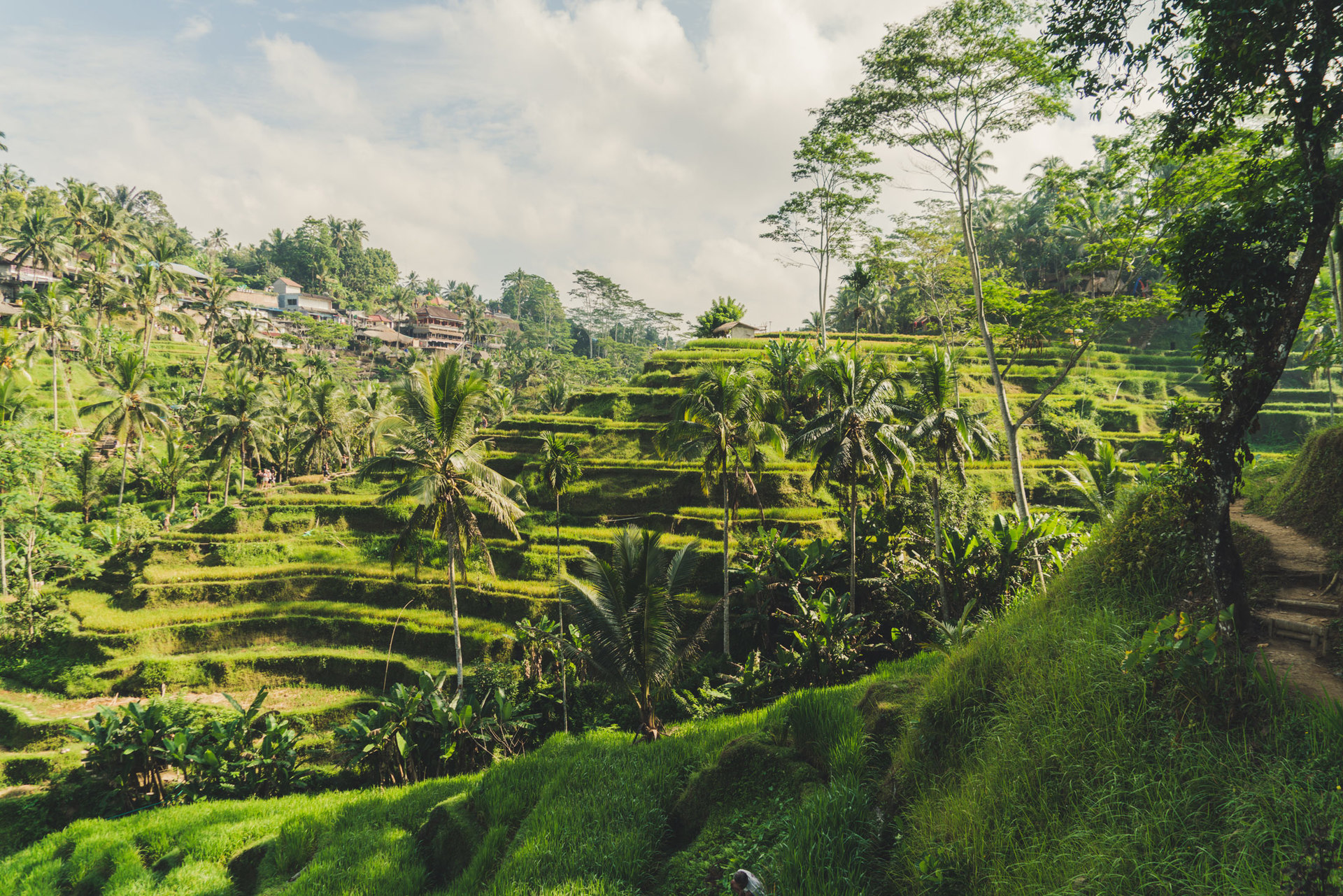 Your Holiday in a Luxury 5 Star Villa in Ubud, Bali Villa 2032
