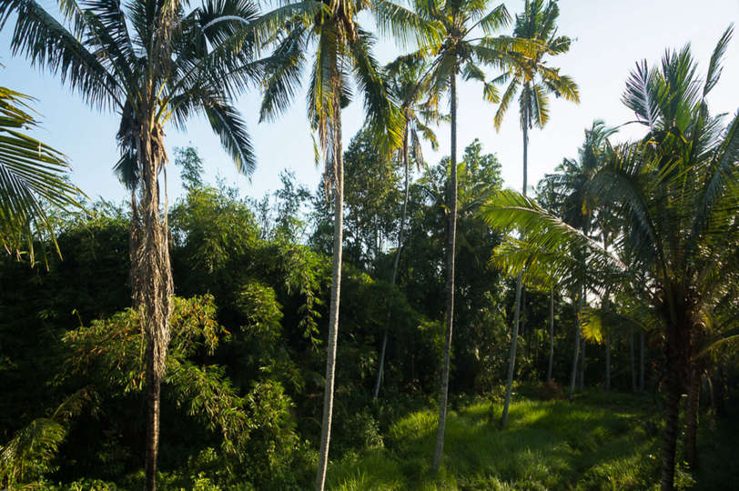 Your Holiday in a Luxury 5 Star Villa in Ubud, Bali Villa 2032