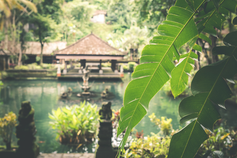 Your Holiday in a Luxury 5 Star Villa in Ubud, Bali Villa 2032