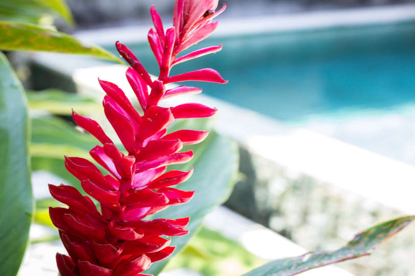 Rent a Luxury Villa in Bali Close to the Beach, Bali Villa 2074