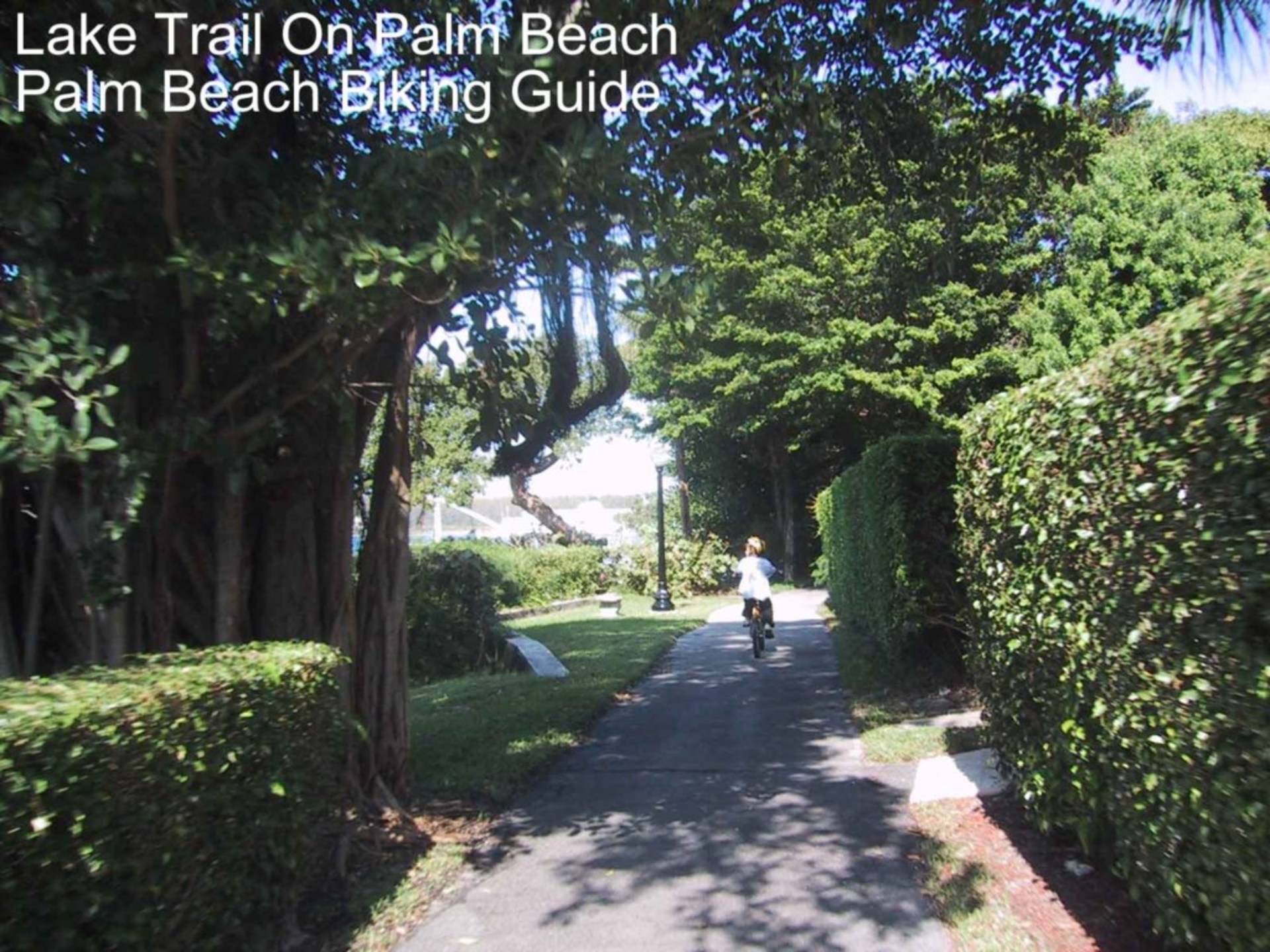 Stunning 2 Bedroom Apartment in Prime location on Palm Beach, West Palm Beach Apartment 1853