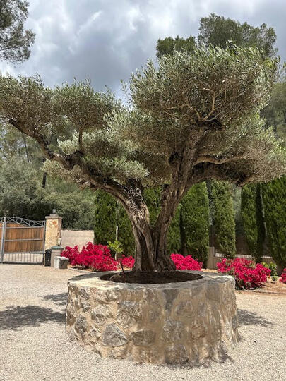 Your Island Escape, Mallorca Villa 1480