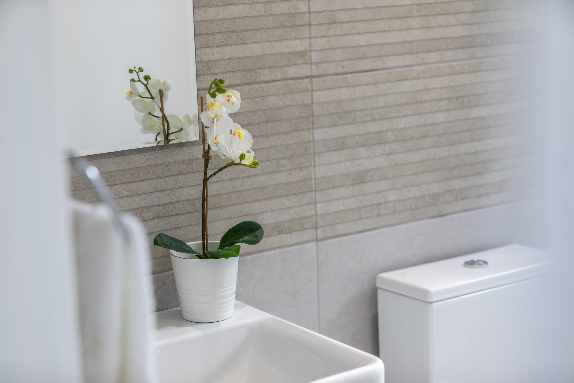 You Will Love This Luxury Apartment on the beach, Larnaca Apartment 1386