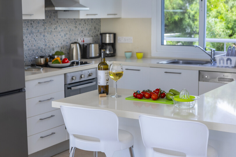 The Ultimate Guide to Renting Your Luxury 3 Bedroom Villa minutes from the Beach, Protaras Villa 1530