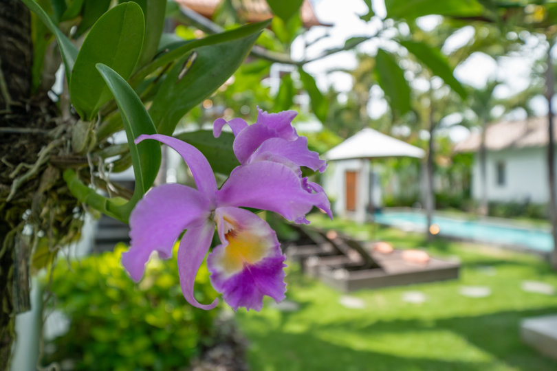 The Ultimate 5 Star Holiday Villa in Kabupaten Badung with Private Pool and Fully Staffed, Bali Villa 2099