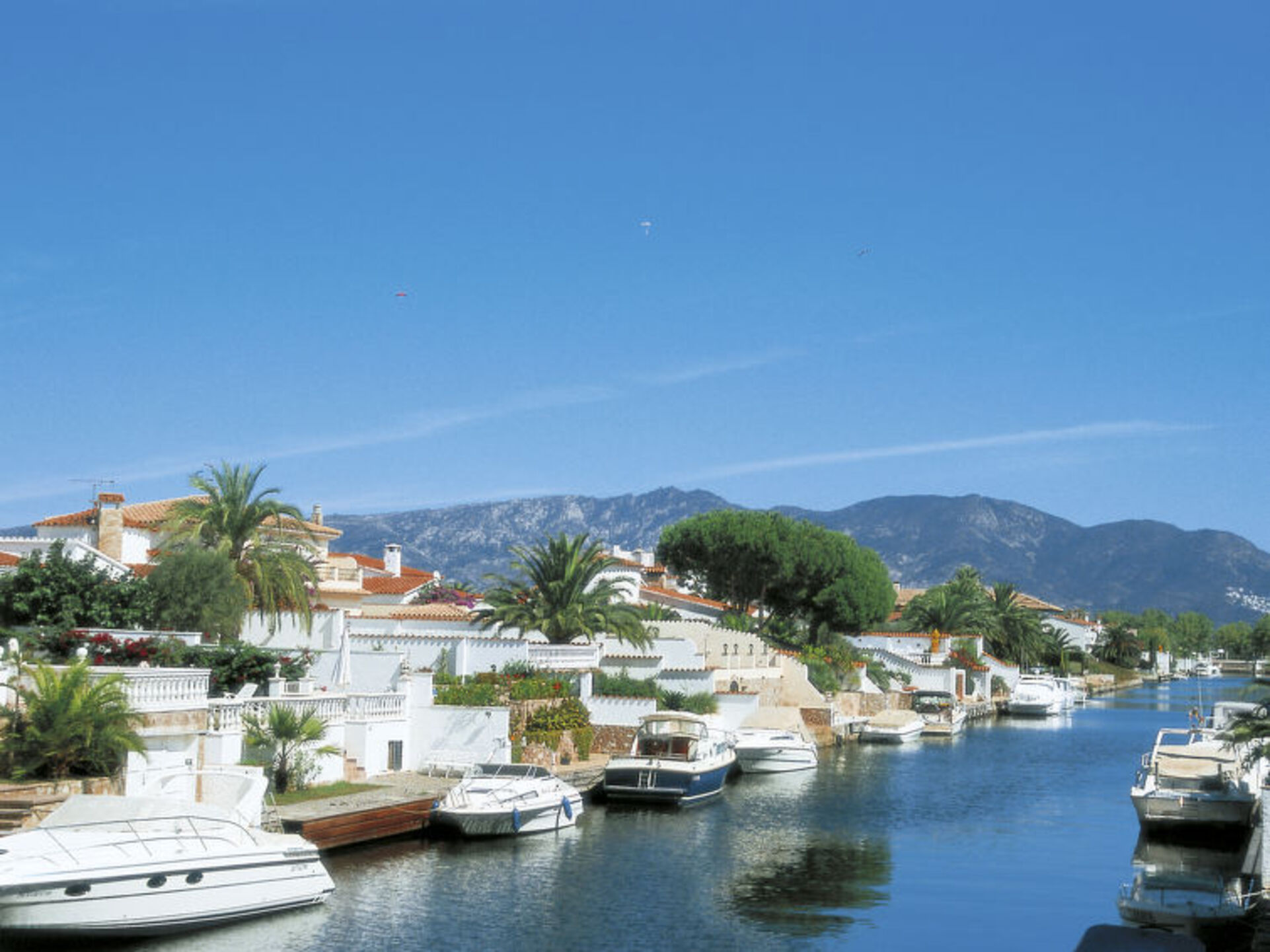 Magnificent Villa with Modern Amenities,1006