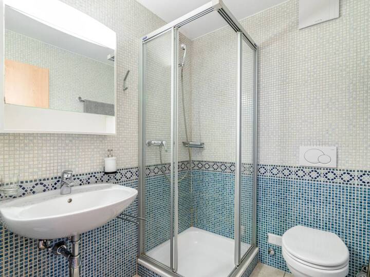 5 Star Villa with First Class Amenities, Valais Villa 1057