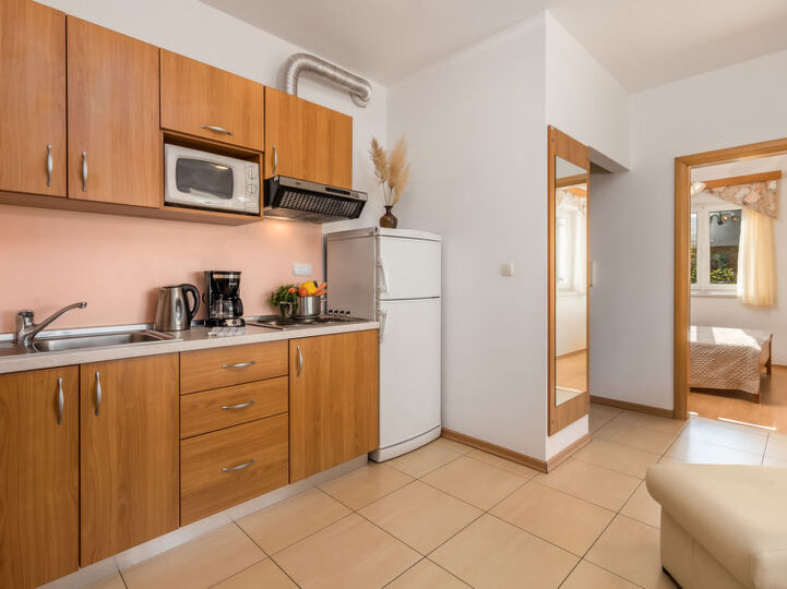 Luxurious Coastal Villa in Kampor, 1124