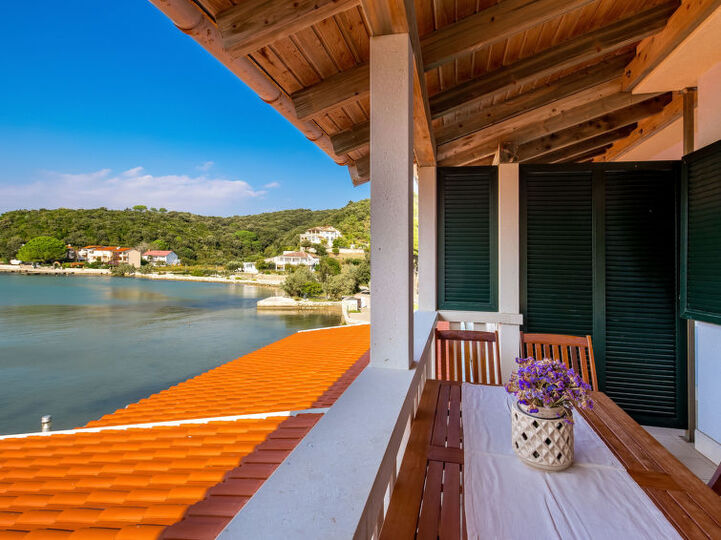 Luxurious Coastal Villa in Kampor, 1124