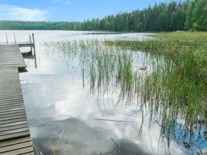 Exclusive Villa with Breathtaking Views, Southern Savonia Villa 1069