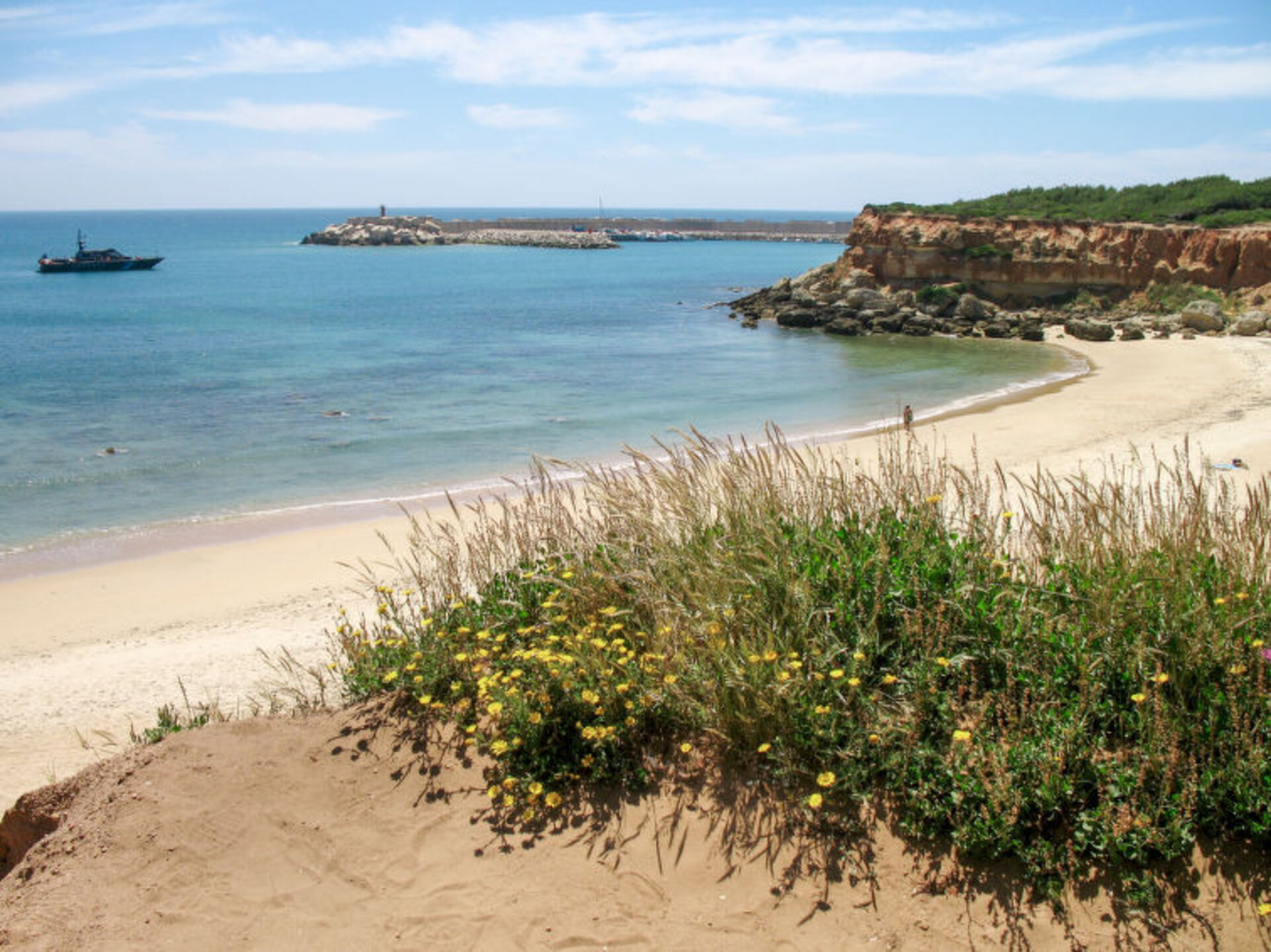 Dreamy Villa in Conil,1004