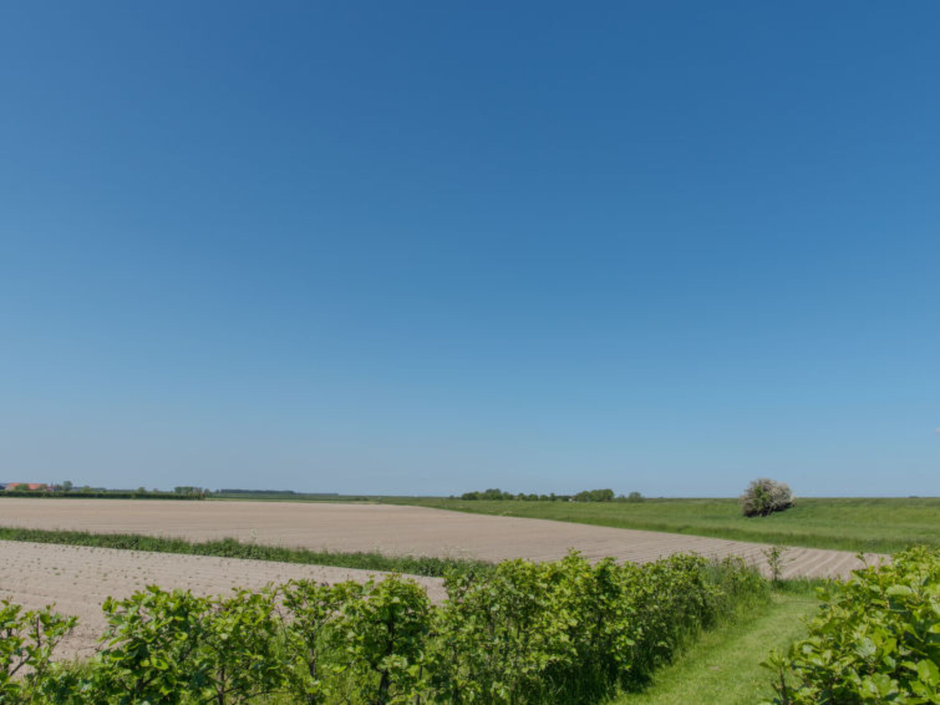 Exclusive 2 Bedroom Villa, Zeeland Villa 1088