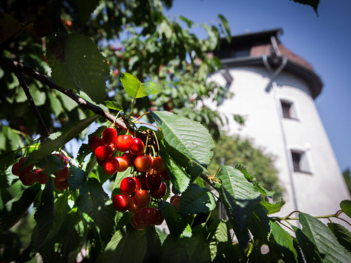 Exclusive Villa with Breathtaking Views, Warmińsko-Mazurskie Villa 1006