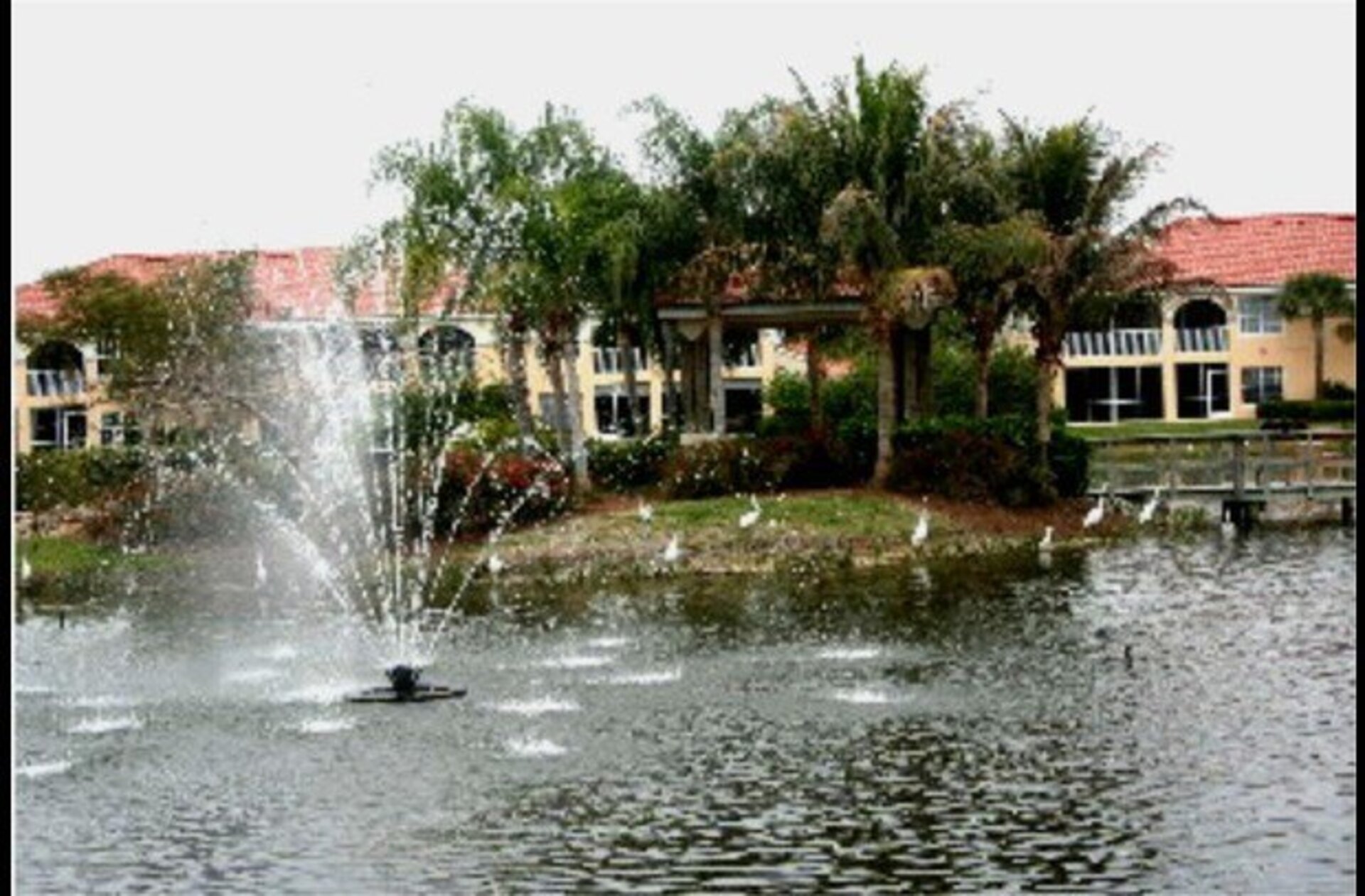 5 Star Condo in one of the most Prestigious Areas in Lighthouse Bay, Florida Condo 5962
