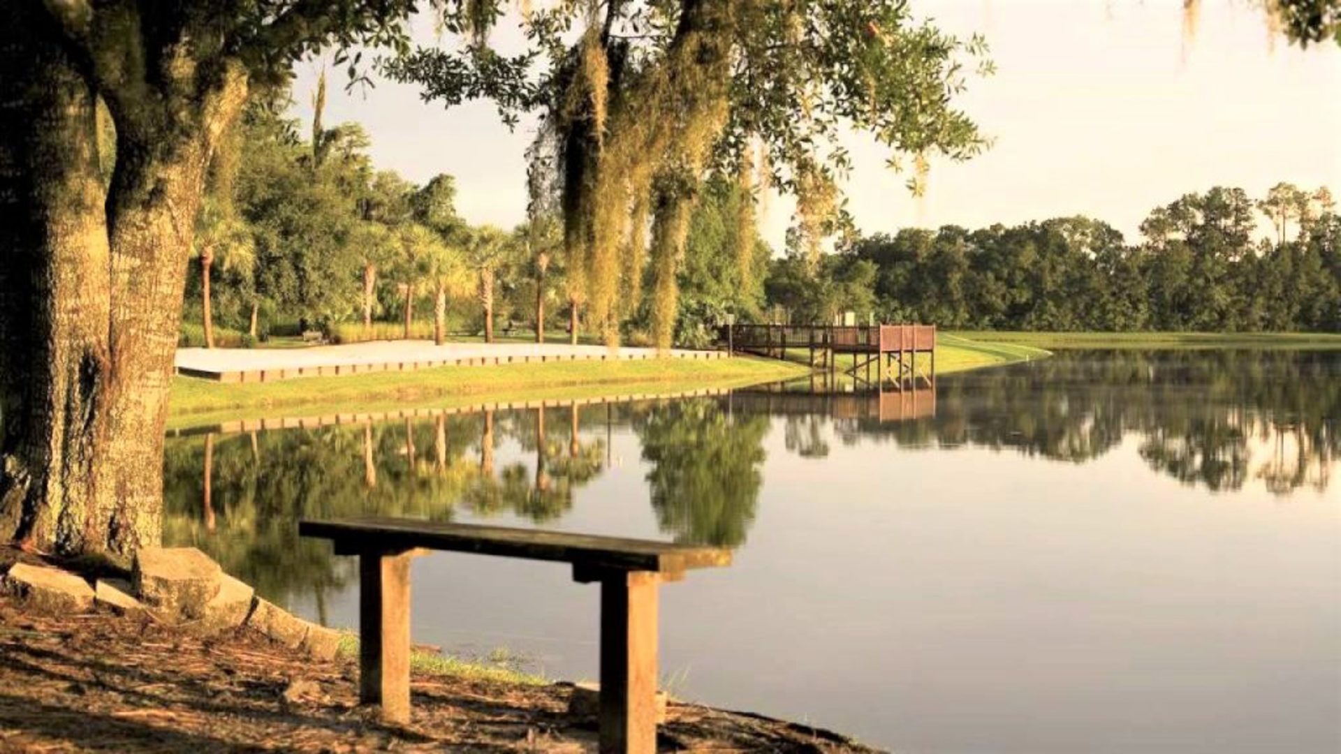Luxury Contemporary Style Villa on Lake Berkley Resort, Florida Villa 6150