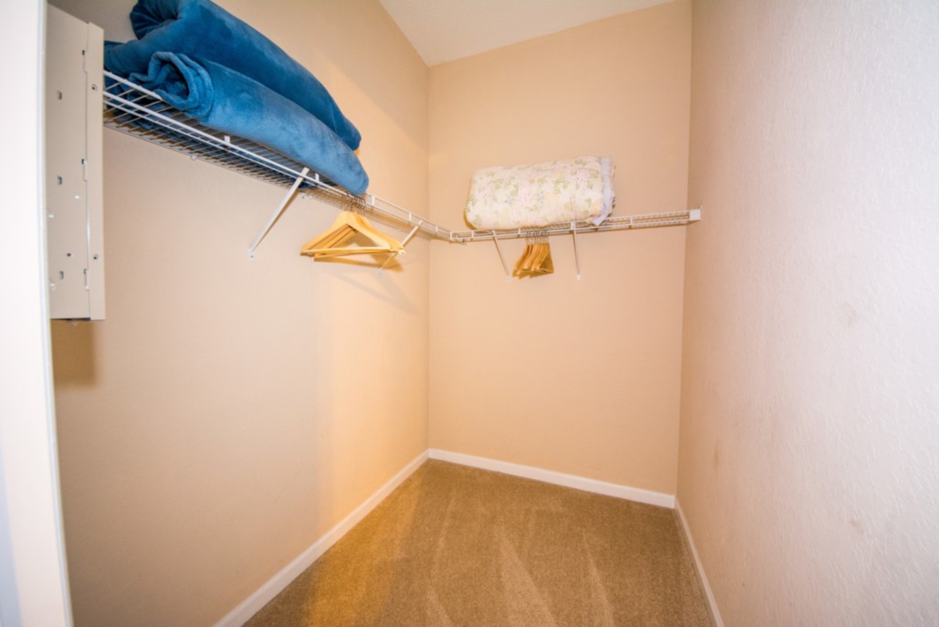 The Ultimate 4 Bedroom Apartment on Orange County, Florida Apartment 6180