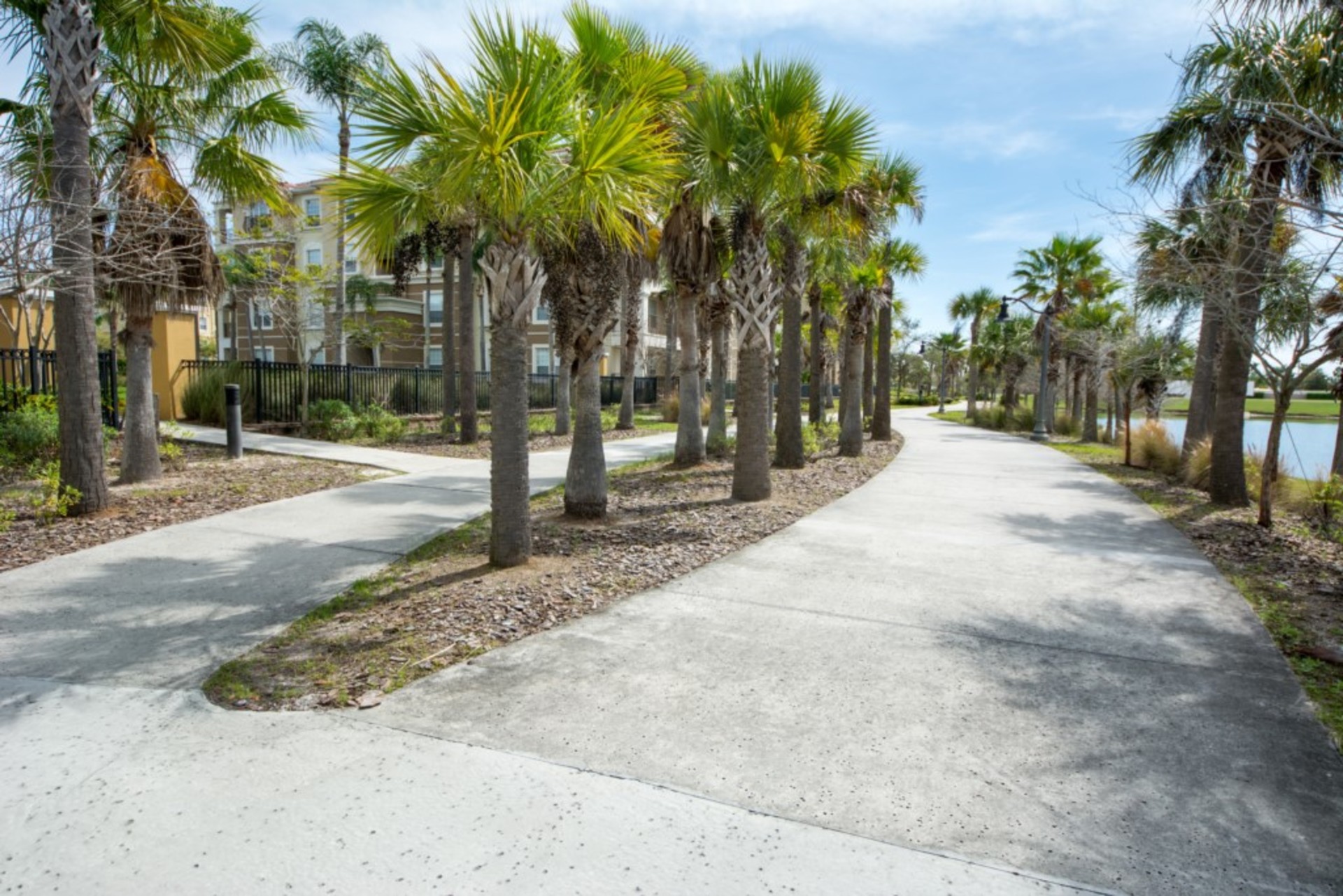 The Ultimate 4 Bedroom Apartment on Orange County, Florida Apartment 6180