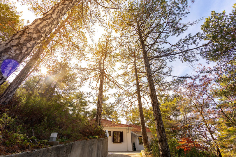 Luxury Mountain Getaway, Pano Platres 1004
