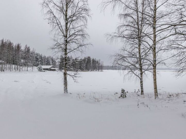 Perfect Family Retreat, Punkaharju 1102