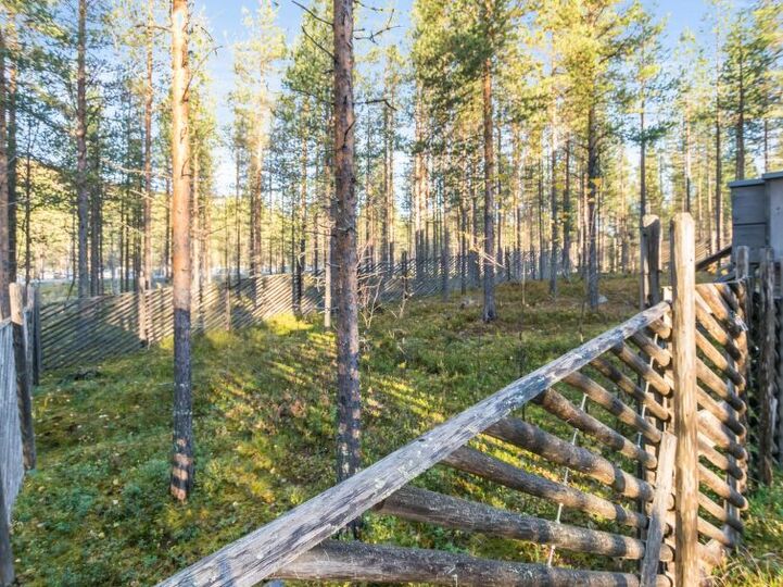 Time to Relax, Pelkosenniemi 1266