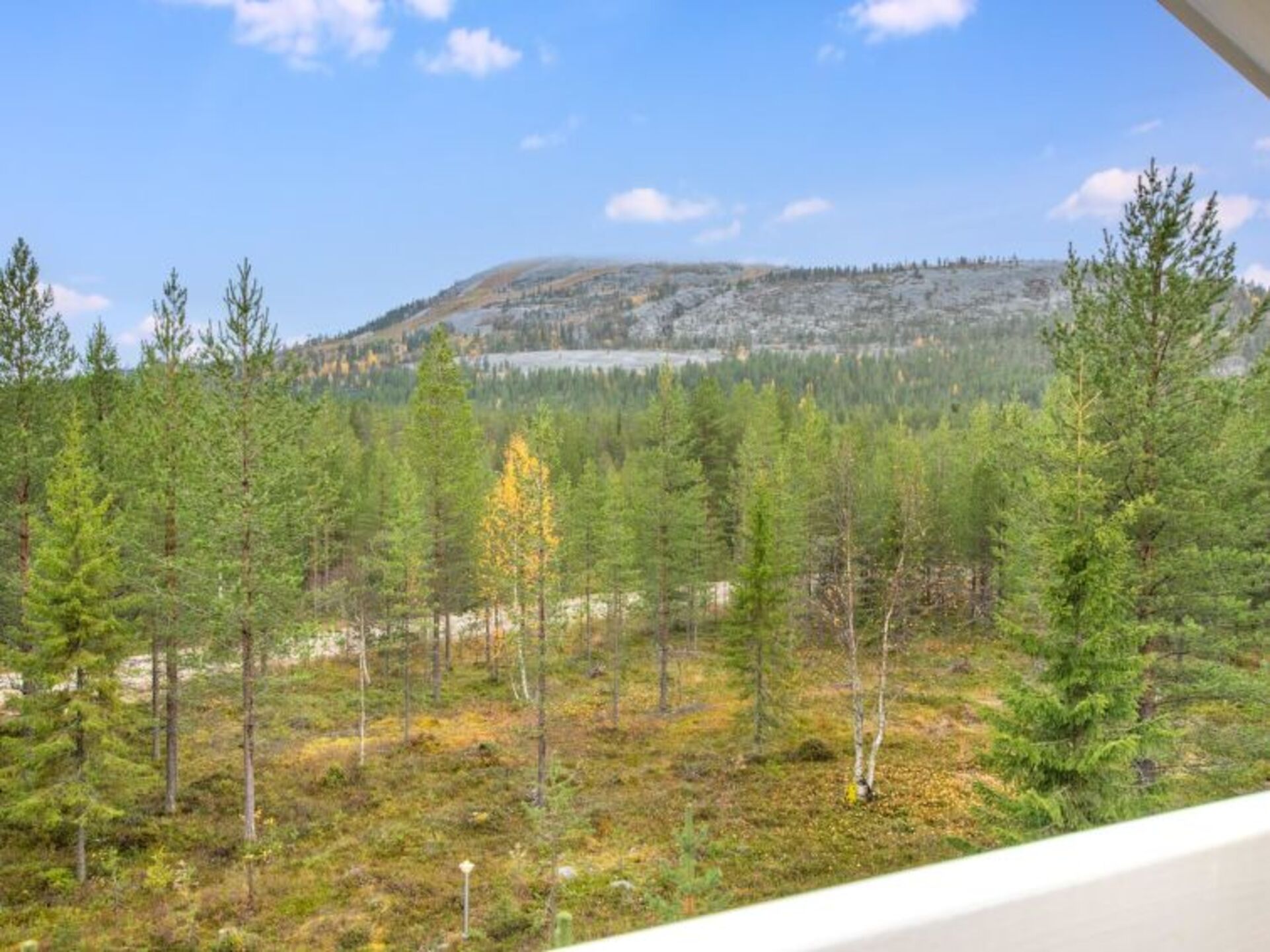 View