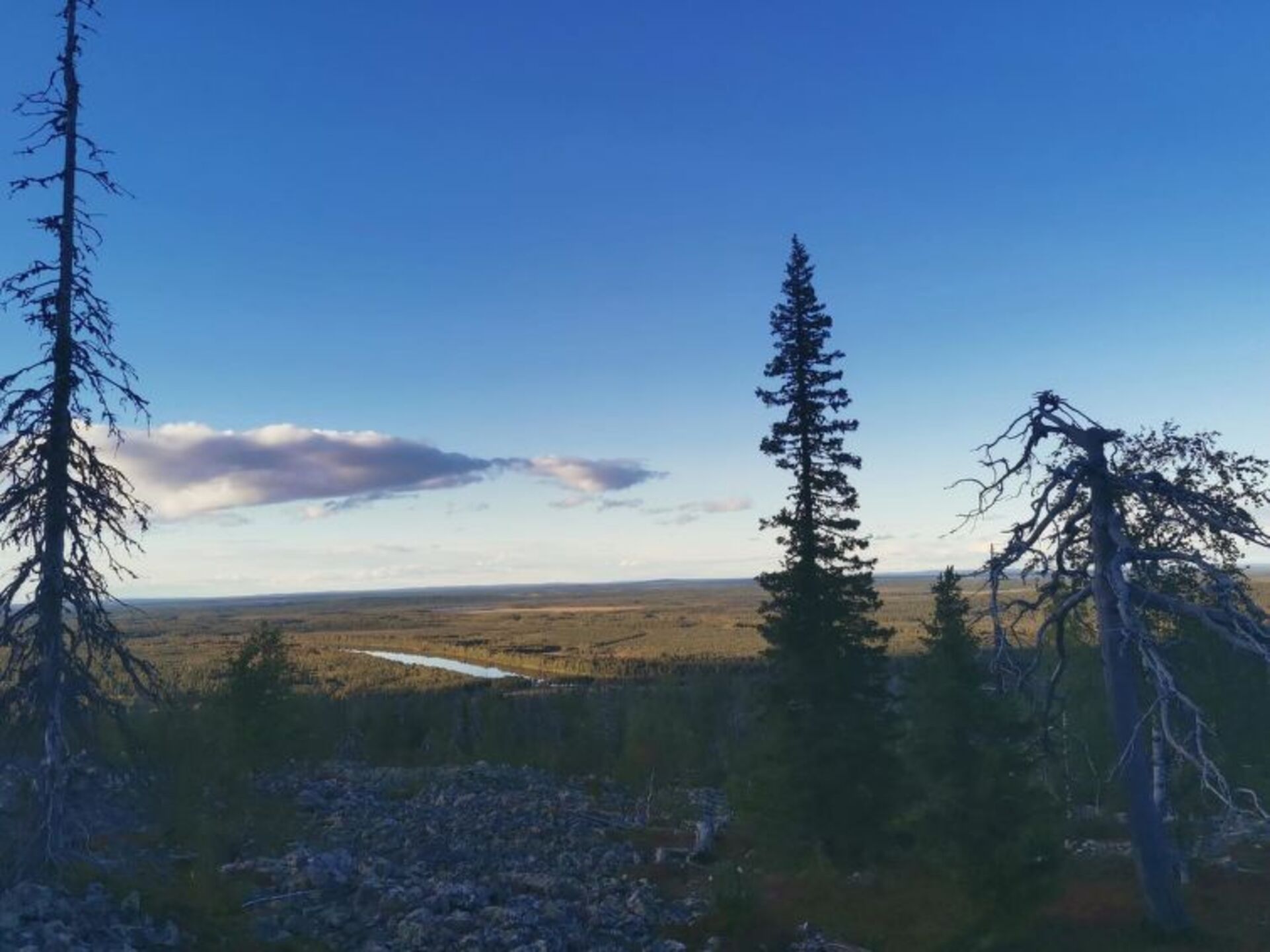 Lapland's Secret 1BR Oasis,1278