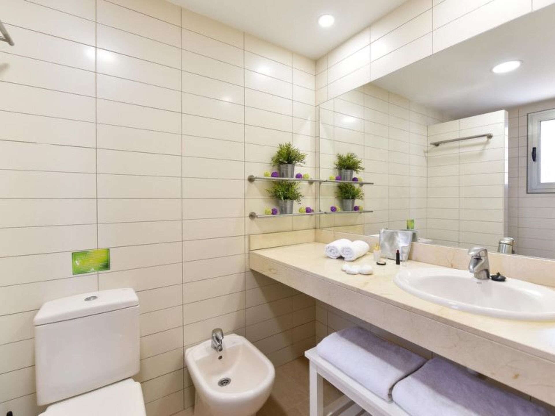 Bathroom / Wellness
