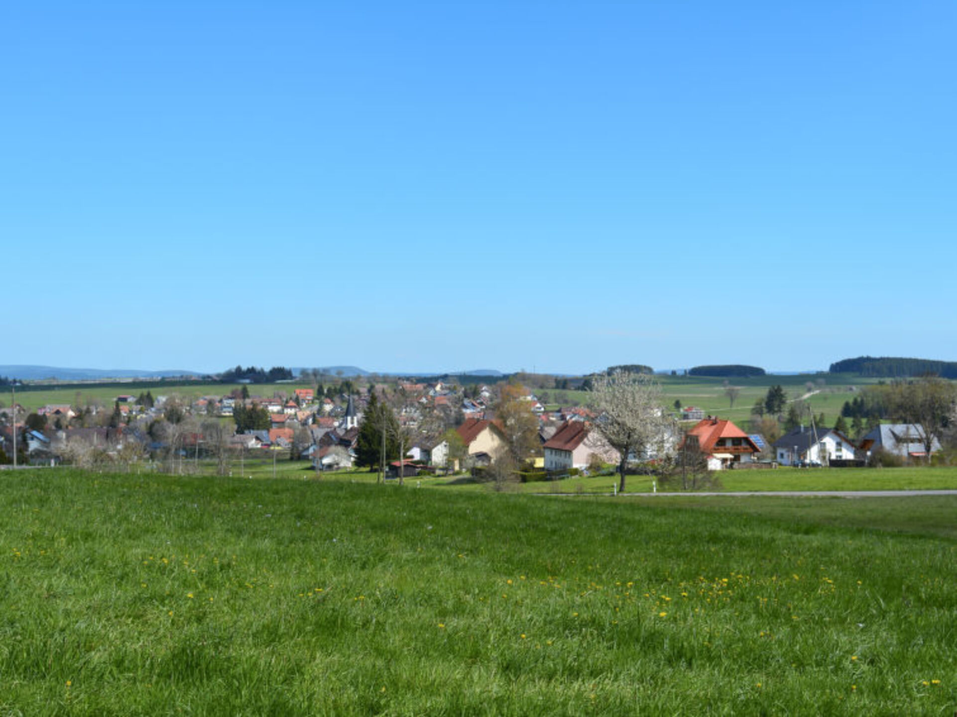 Quaint 1BR Villa: Baden-Württemberg Haven,1035