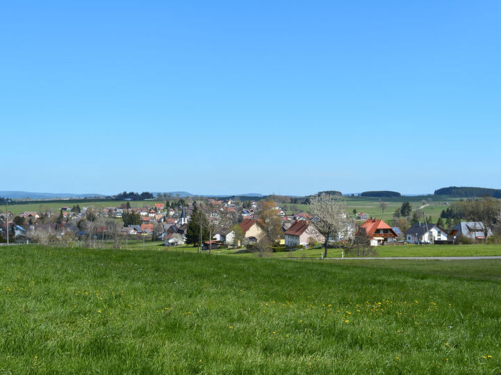 Quaint 1BR Villa: Baden-Württemberg Haven,1035