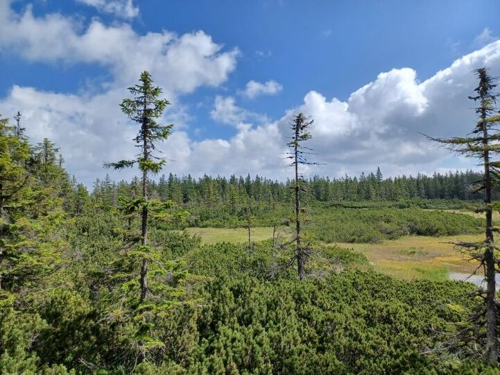 View