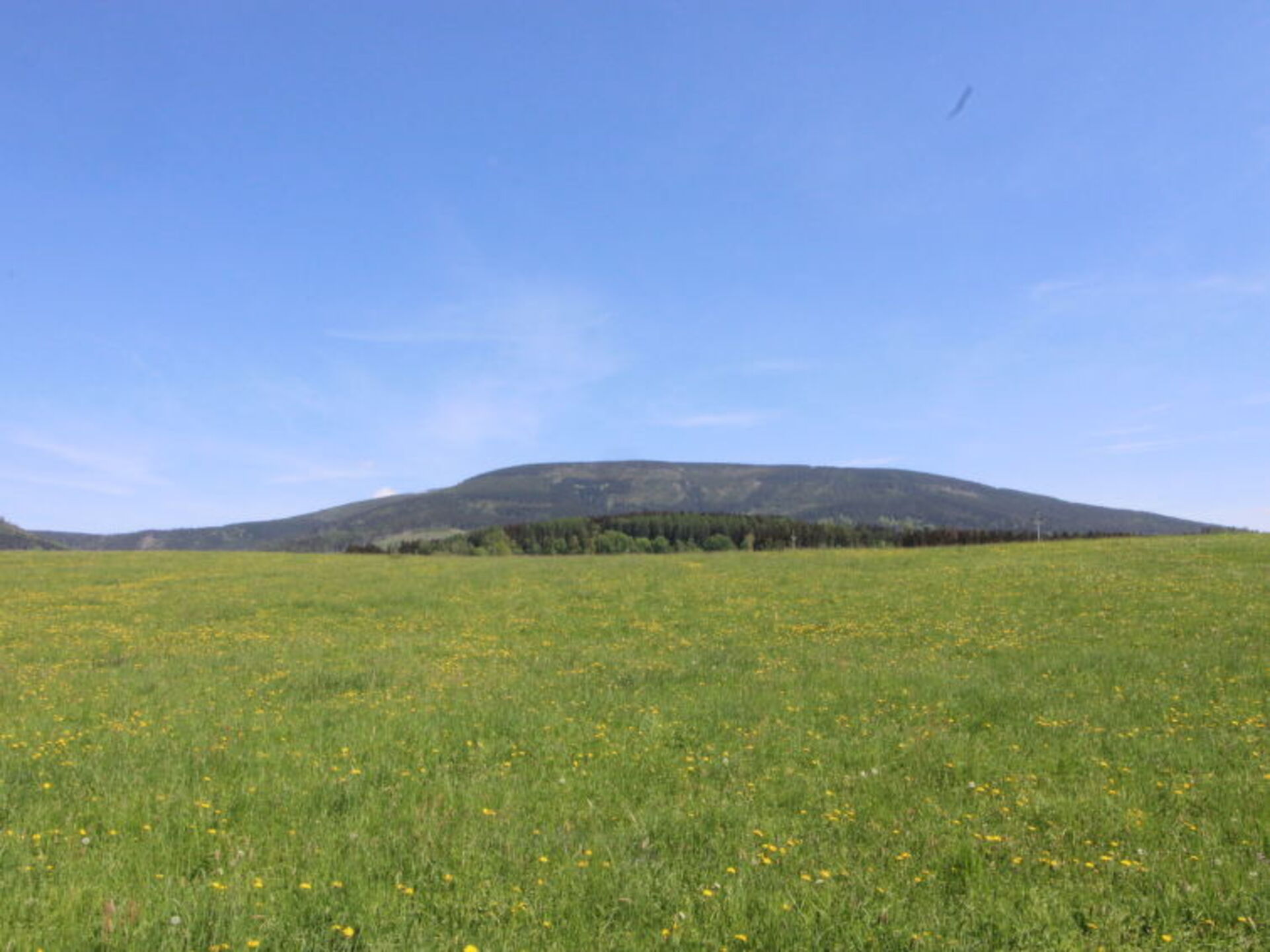 Place