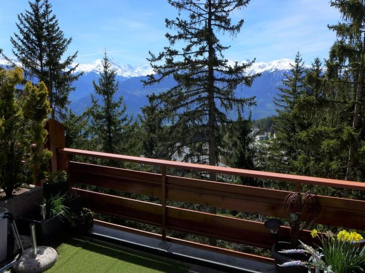 View
