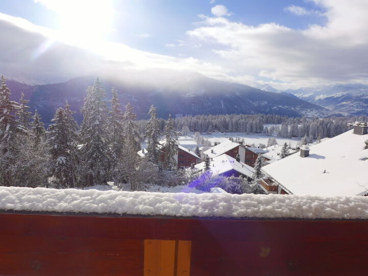 View