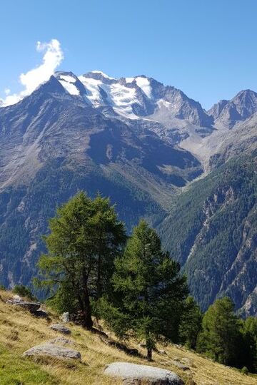 Serene 2 Bedroom Villa in Saas-Grund, 1415