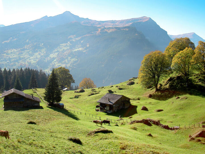 Place