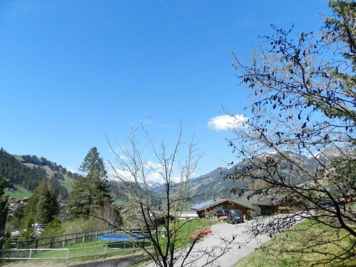 Elegant 2 Bedroom Villa in Zweisimmen, 1195
