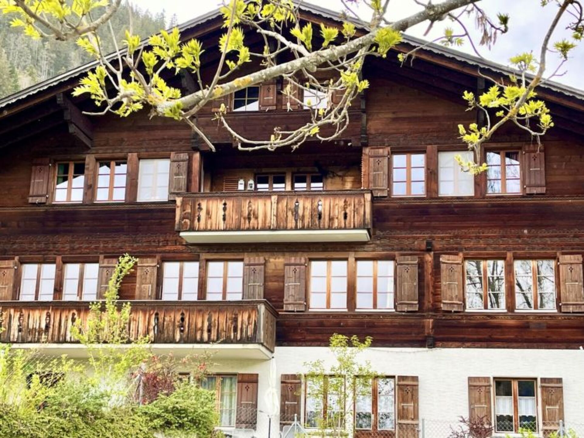 Private Oasis in Zweisimmen 1196