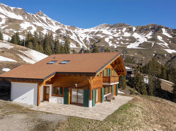 Rustic Chic Chalet in Les Crosets, 1284, Les Crosets, Switzerland